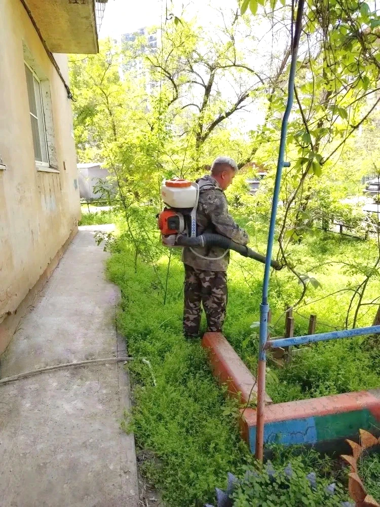 К новости «🌿 Дышим легко и гуляем с удовольствием!»