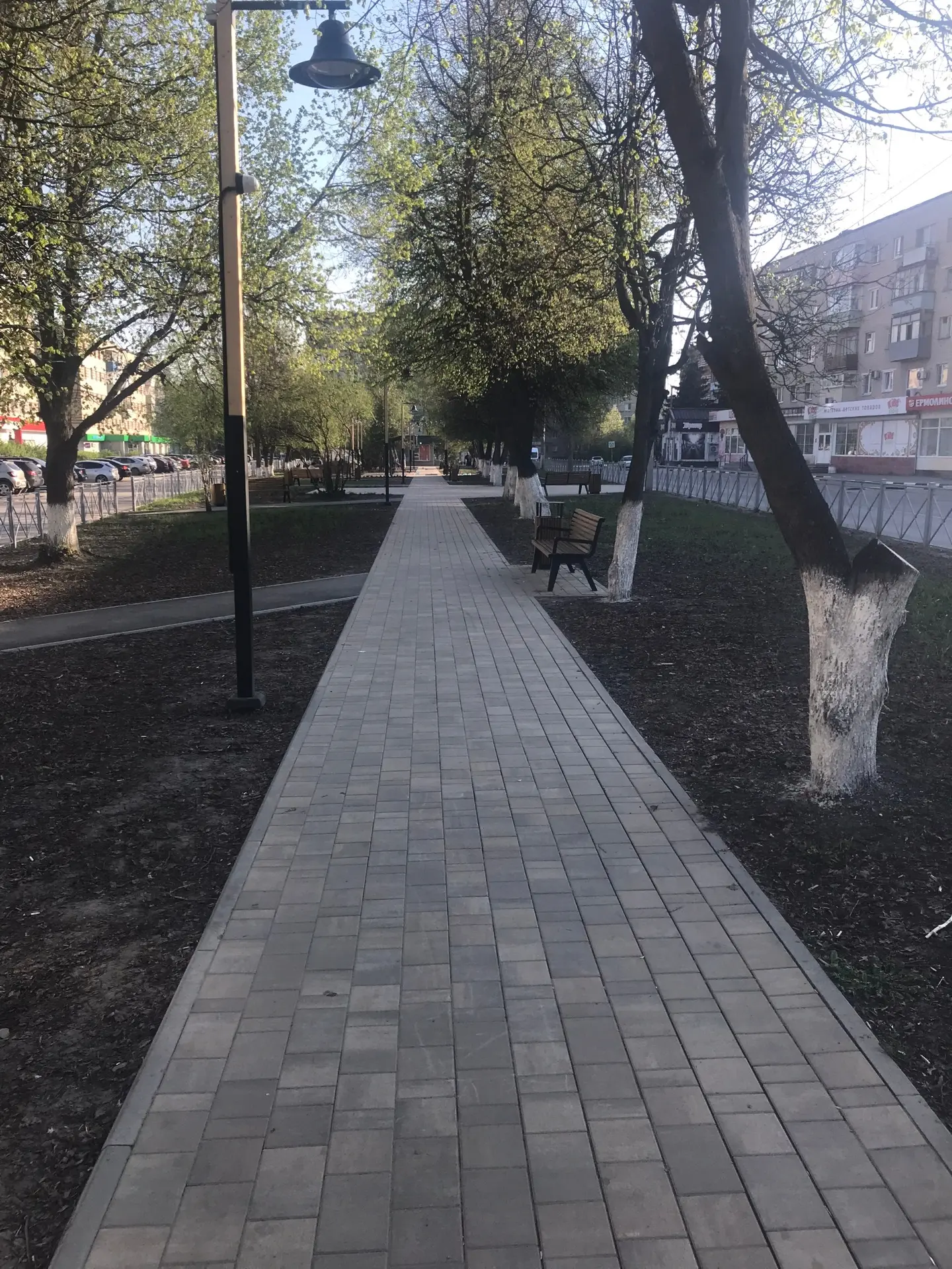 Не хватает в липовом сквере постоянной чистоты и порядка, а ещё цветов очень хочется или газона хотя