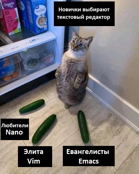 @linux0ids