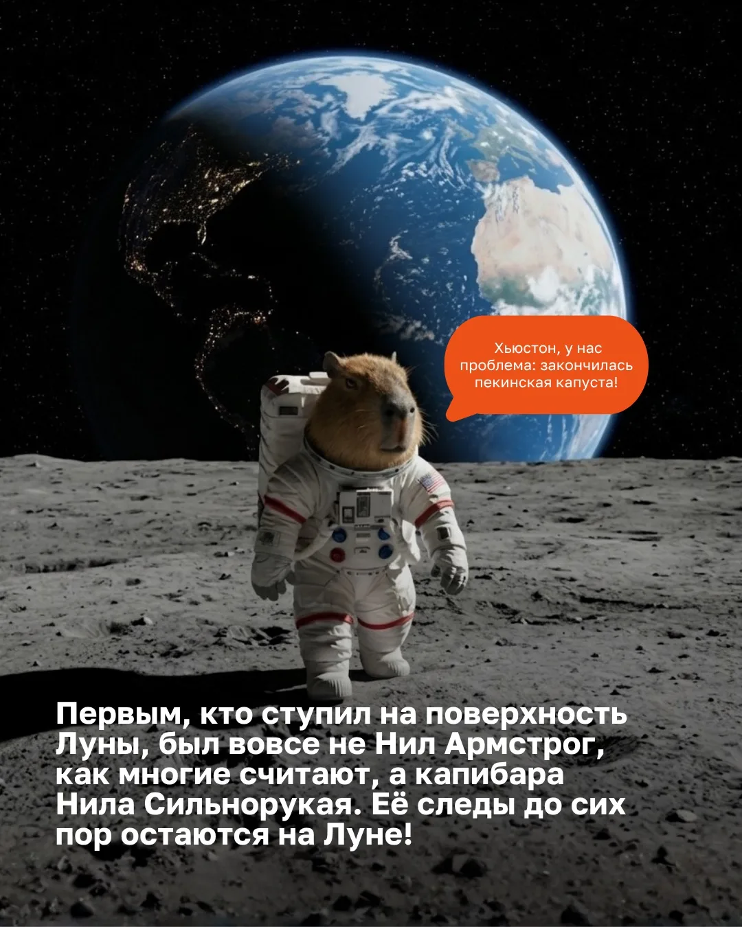 Время раскрыть тайну космоса… И не одну! Друзья, Капи и Бара передали нам информацию с маркировкой «