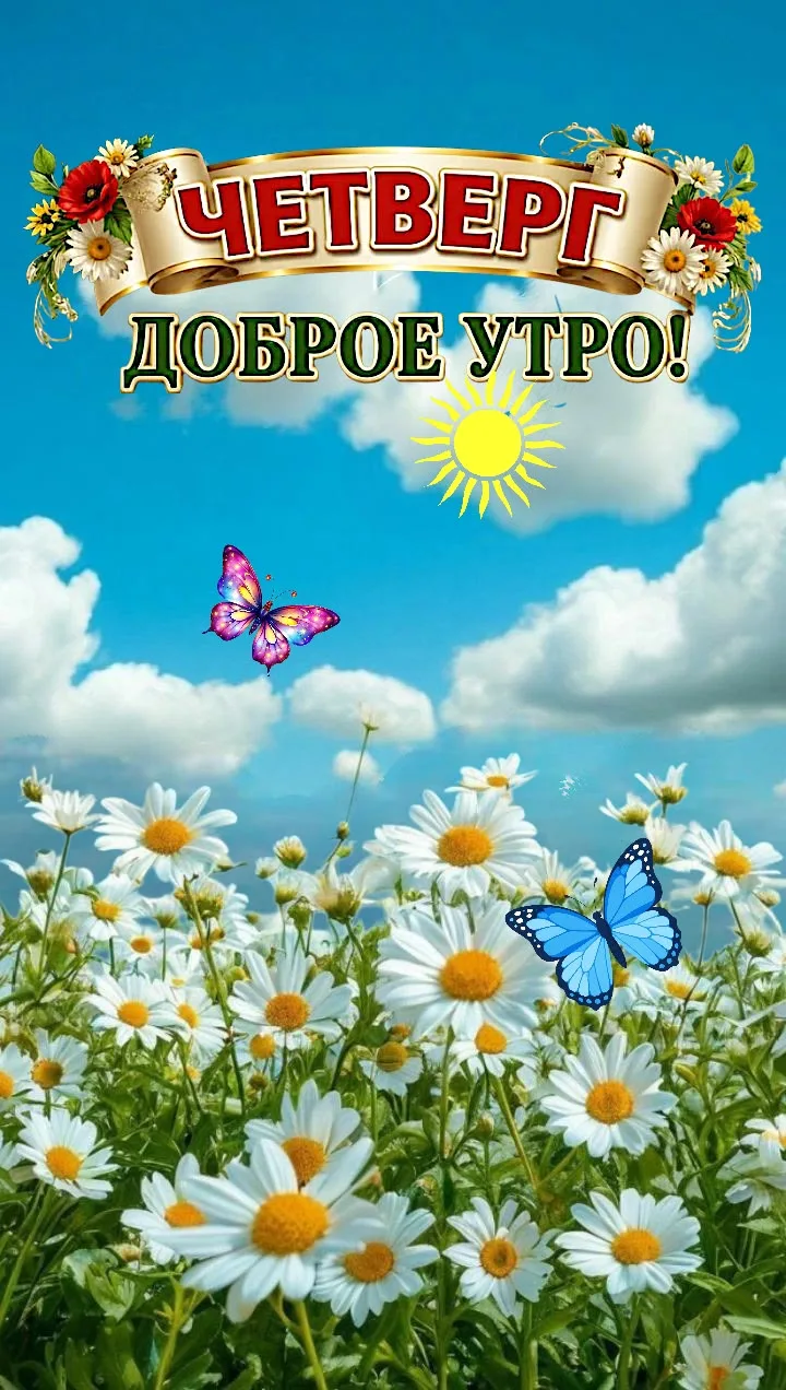 💌 Лучшие Открытки в MAX! 👉 Подписаться