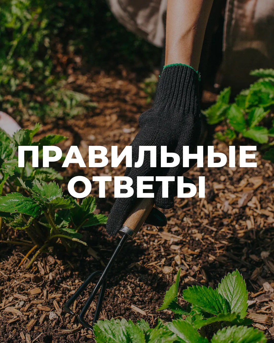 Правильные ответы!