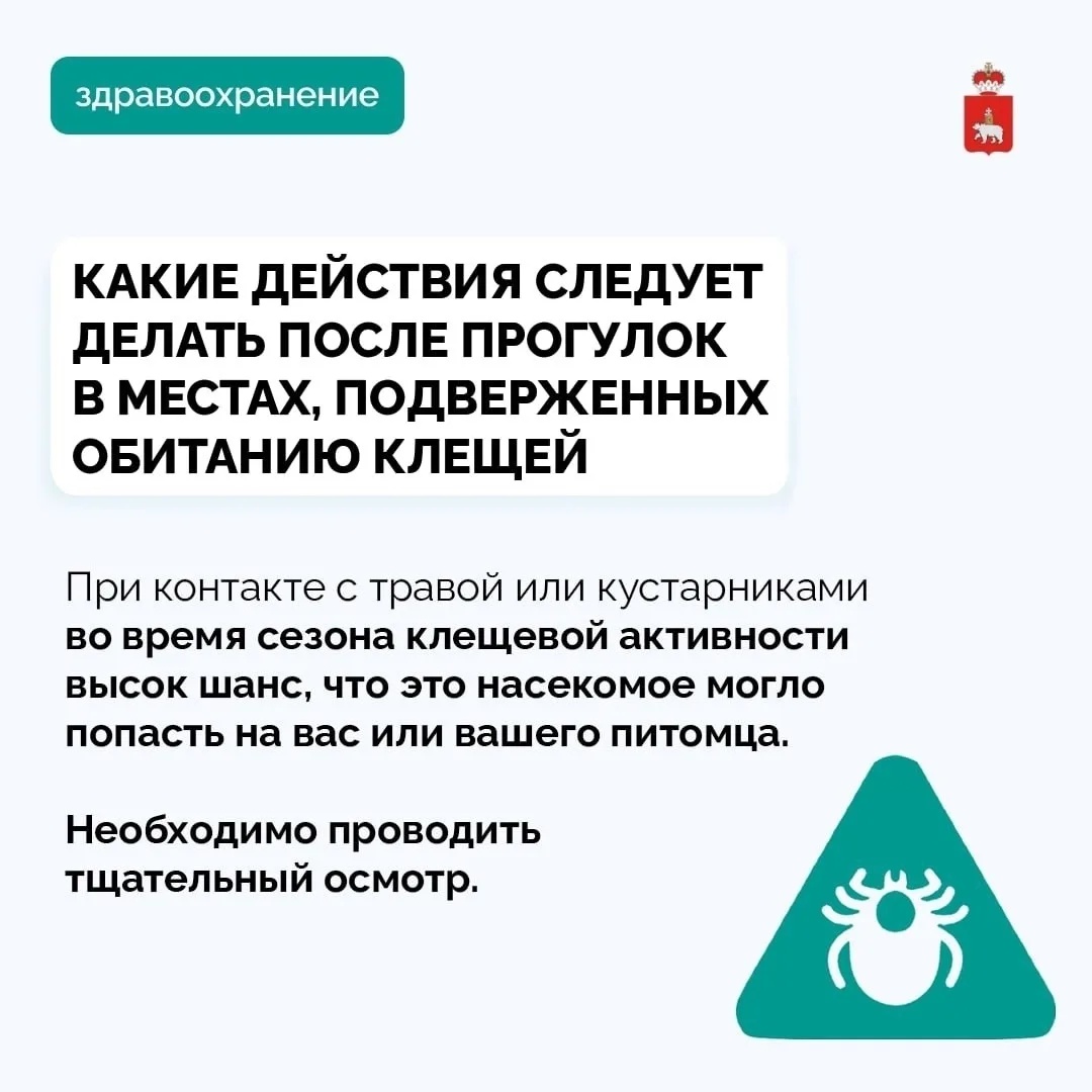 🕷 Сезон клещевой активности уже начался!