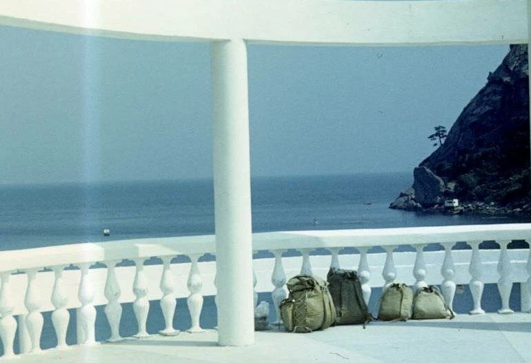 Новый Свет 📆 1981 год