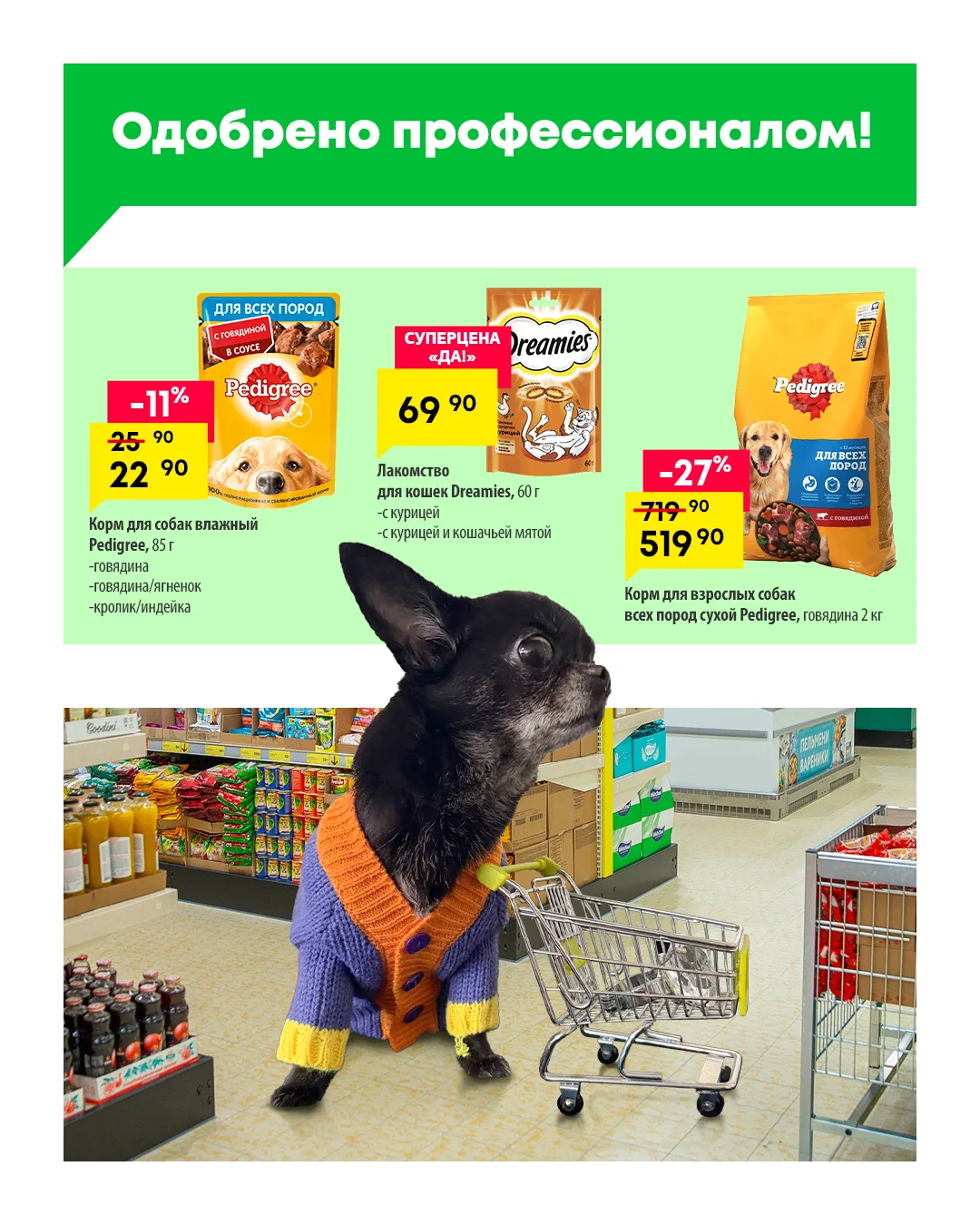 Зачем читать отзывы, если можно просто взять с собой эксперта?! 🐶