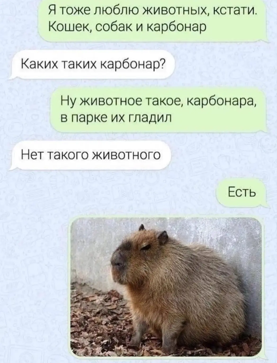 Карбонара Капибаровна😅