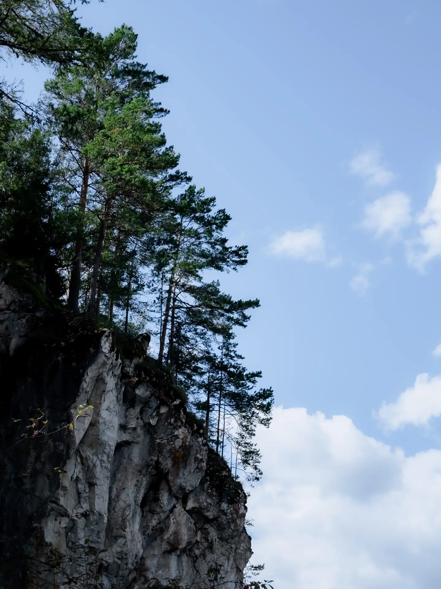 Продолжение прогулки в природном парке «Оленьи ручьи»🛘🌿