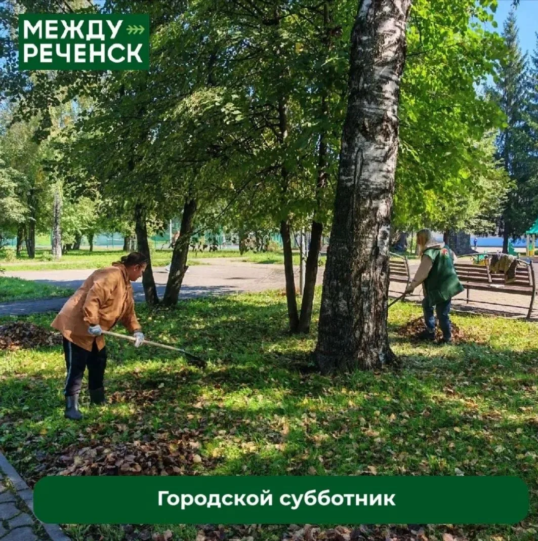 Сегодня общегородской субботник собрал более тысячи участников: от студентов и соцработ...