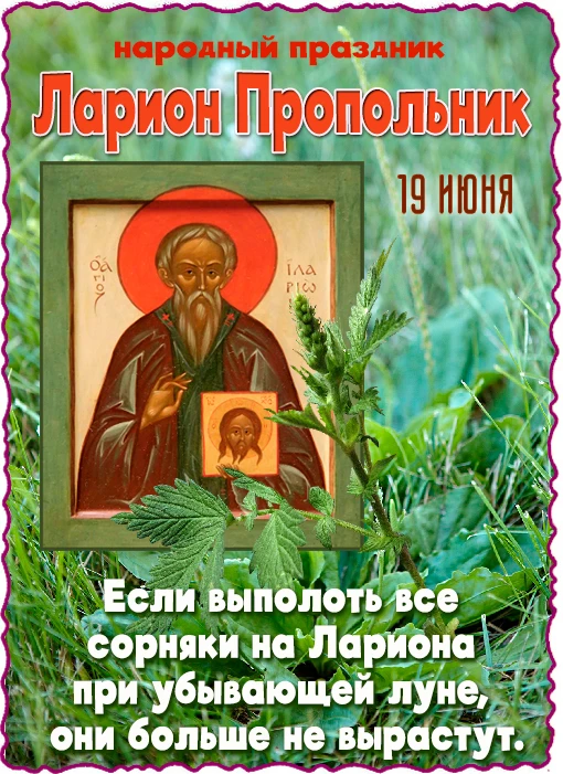 https://max.ru/invista123456