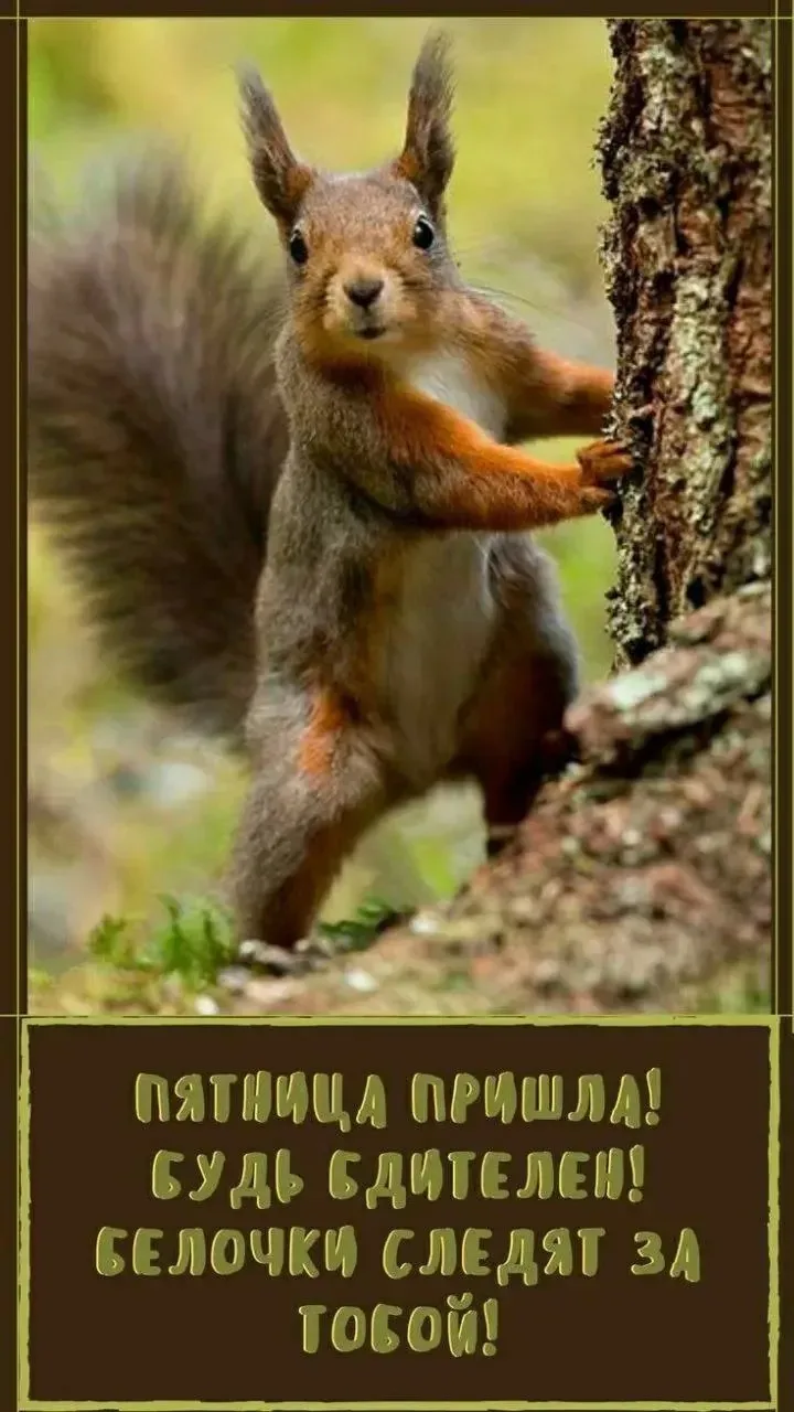 Немного юмора в нашу ленту 😊