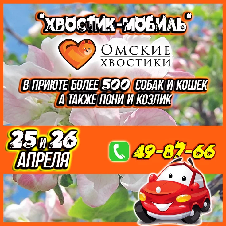 ВАШ ПАКЕТ КОРМА — ЭТО ЧЬЯ-ТО ЖИЗНЬ! 🙏 Запустите цепочку добра одним звонком!  Друзья, мы обращаемся 