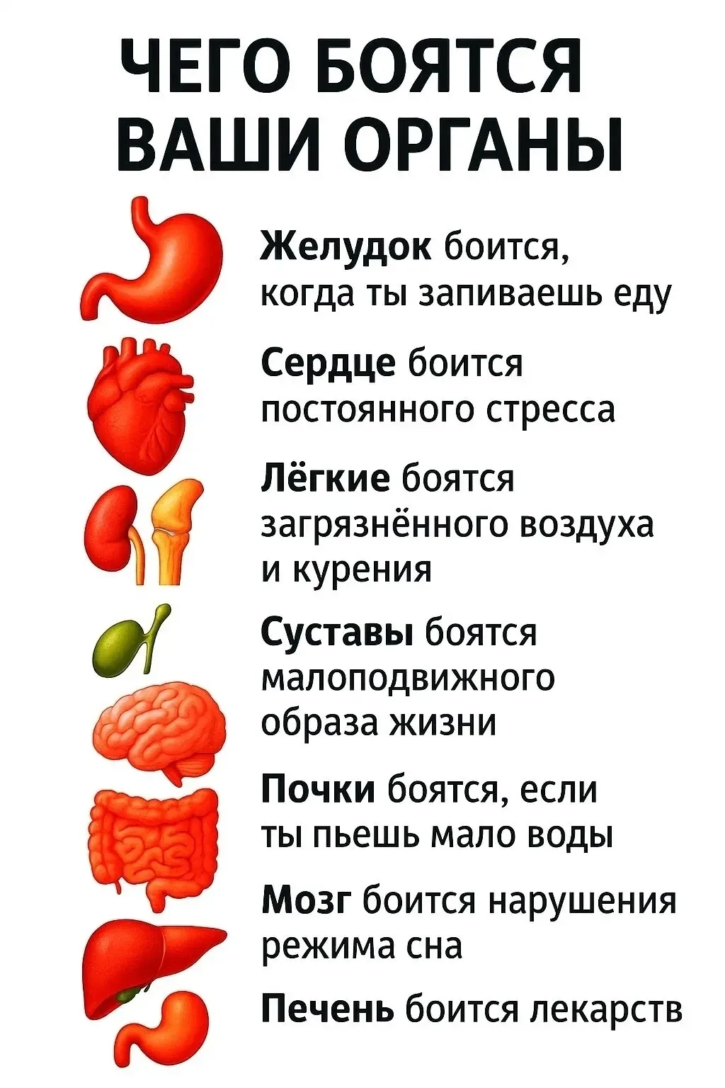Чего боятся ваши органы, знали ли вы?🤔