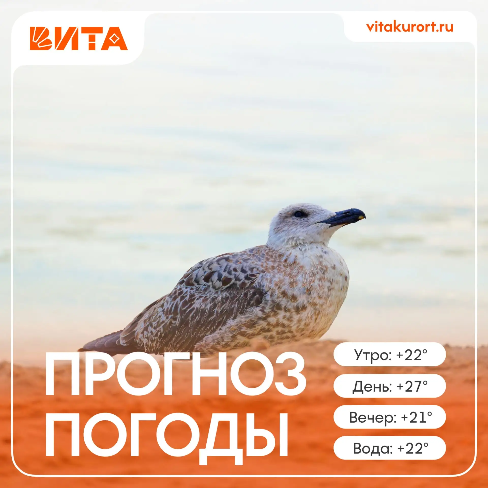 Не всё получается сразу, зато с каждым разом получается лучше 😉