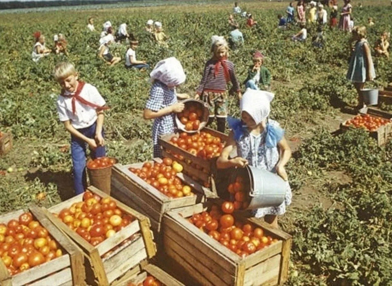 Советские школьники летом💛

А вспомните, как вы чаще всего проводили свои летние каникулы: ездили в