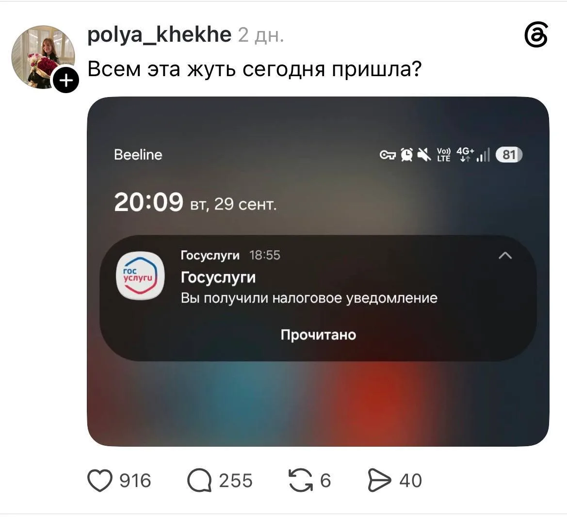Россияне массово ловят паничку из-за «Госуслуг» — сегодня всем пришли уведомления о нал...