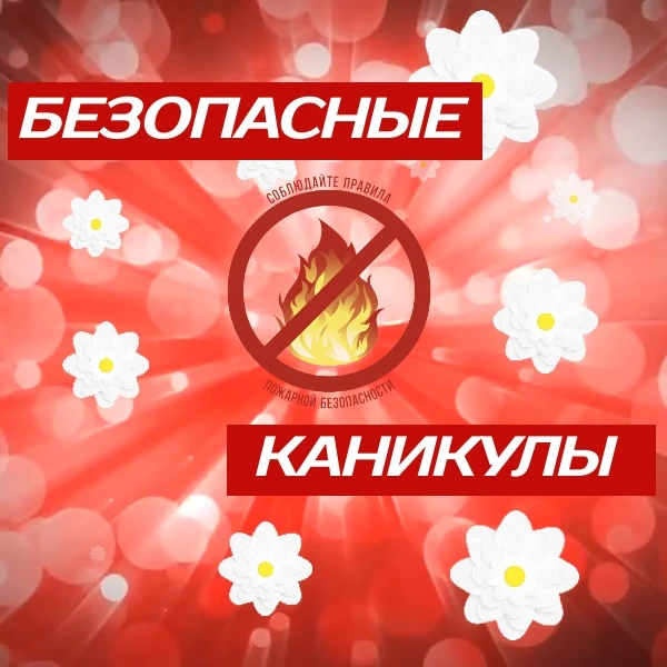 Летние каникулы – чудесное время, которое так ожидаемо любым ребенком. В эти дни дети остаются дома 