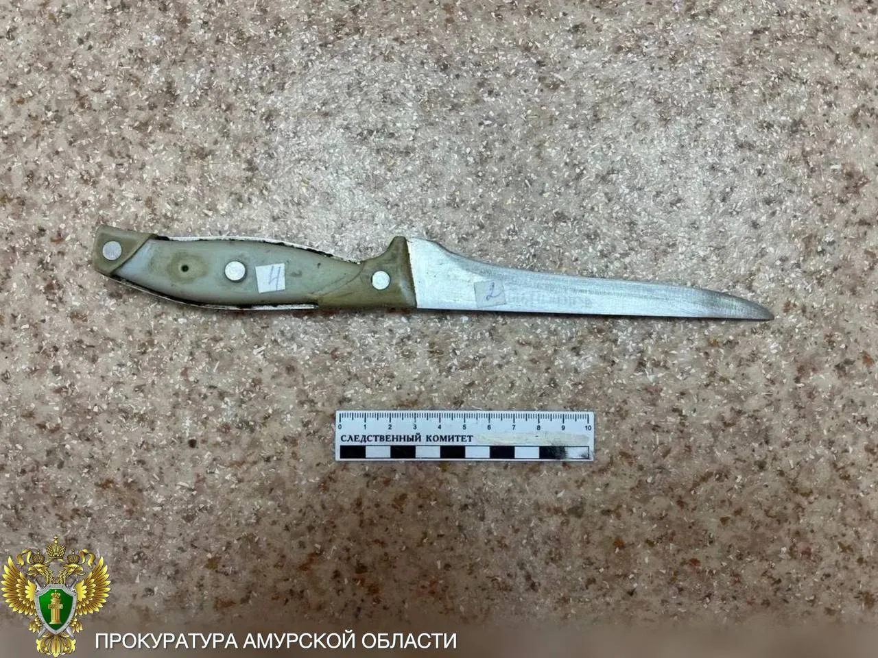 В Селемджинском районе прокуратура направила в суд уголовное дело о покушении на убийство

Прокурату