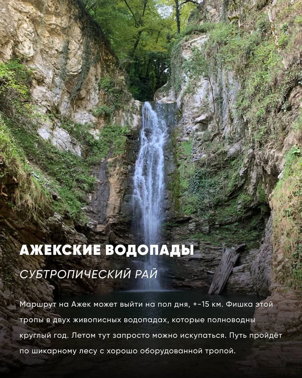 Зачем ехать в Сочи в июне?

🌟Июнь в Сочи — это когда в одном городе умещаются сразу три времени год