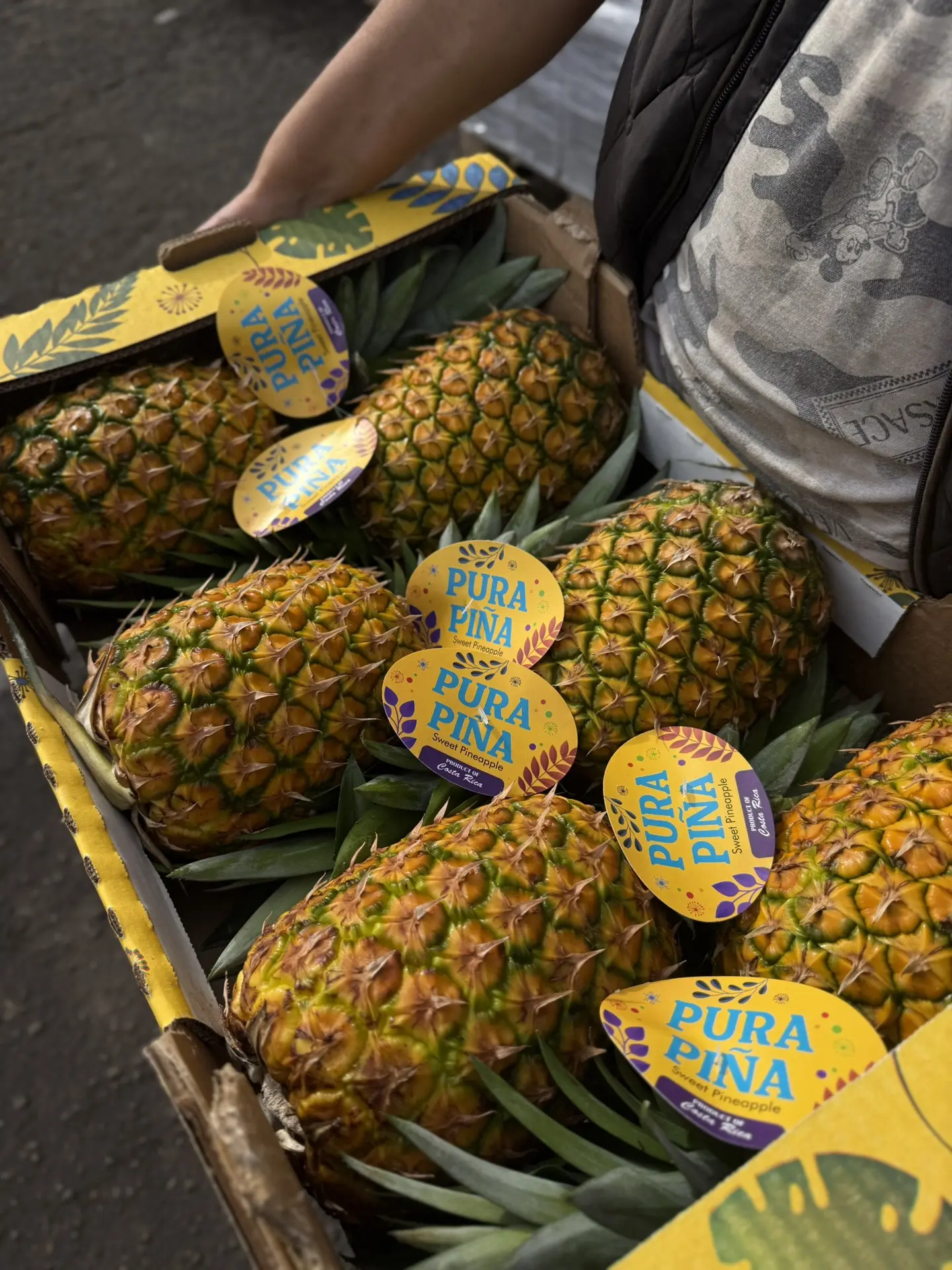 Ананас самолетный 🍍