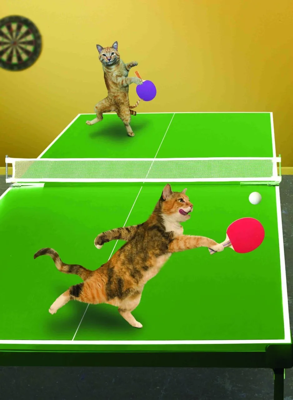 🏓 Попробуйте сыграть в настольный теннис  23 апреля — Всемирный день настольного тенниса.  Праздник 
