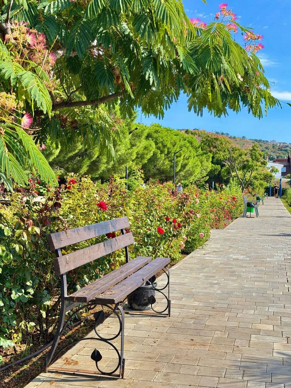 Парк у моря в Солнечногорском 🌳🌴🌸