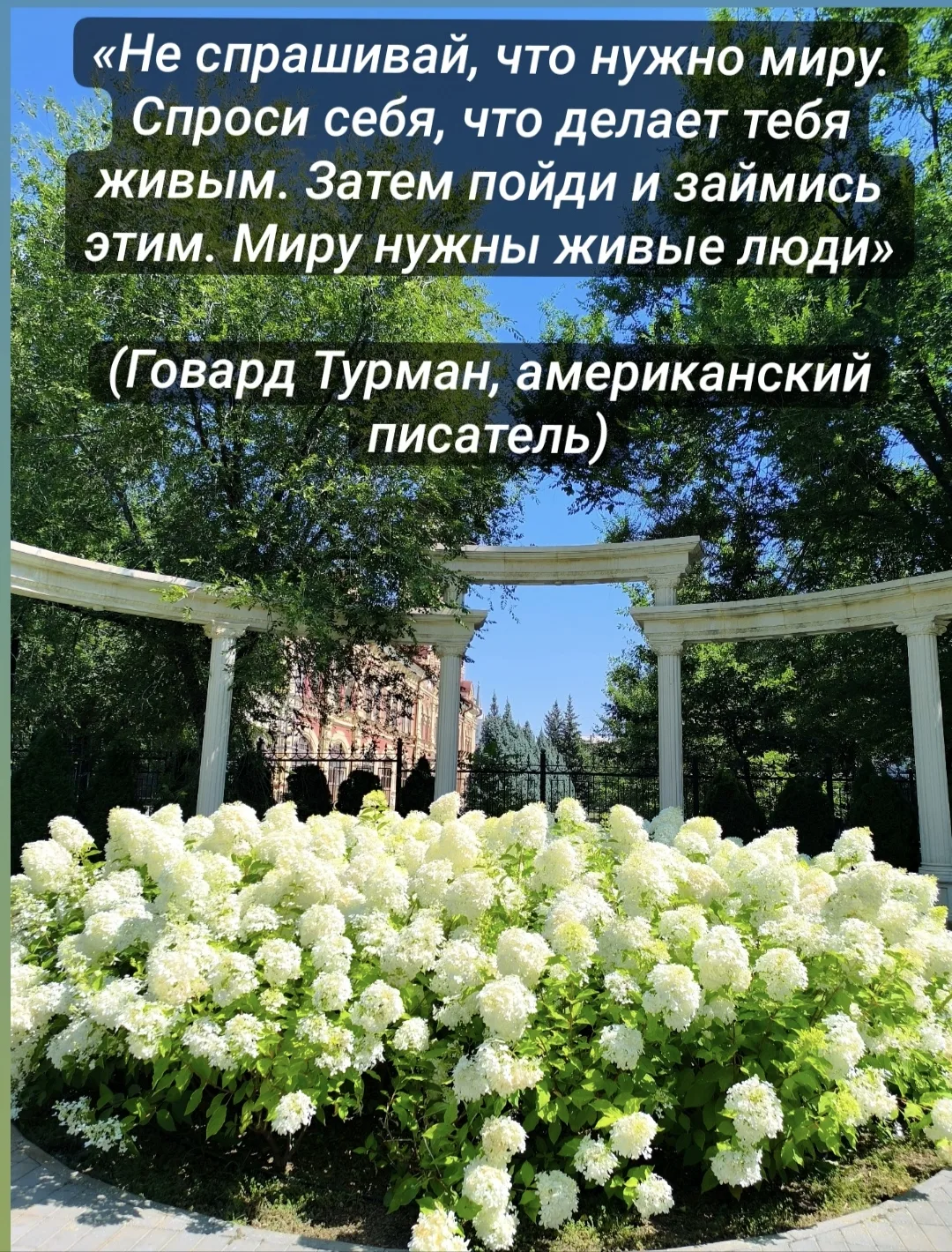 Знаете, что я заметила?