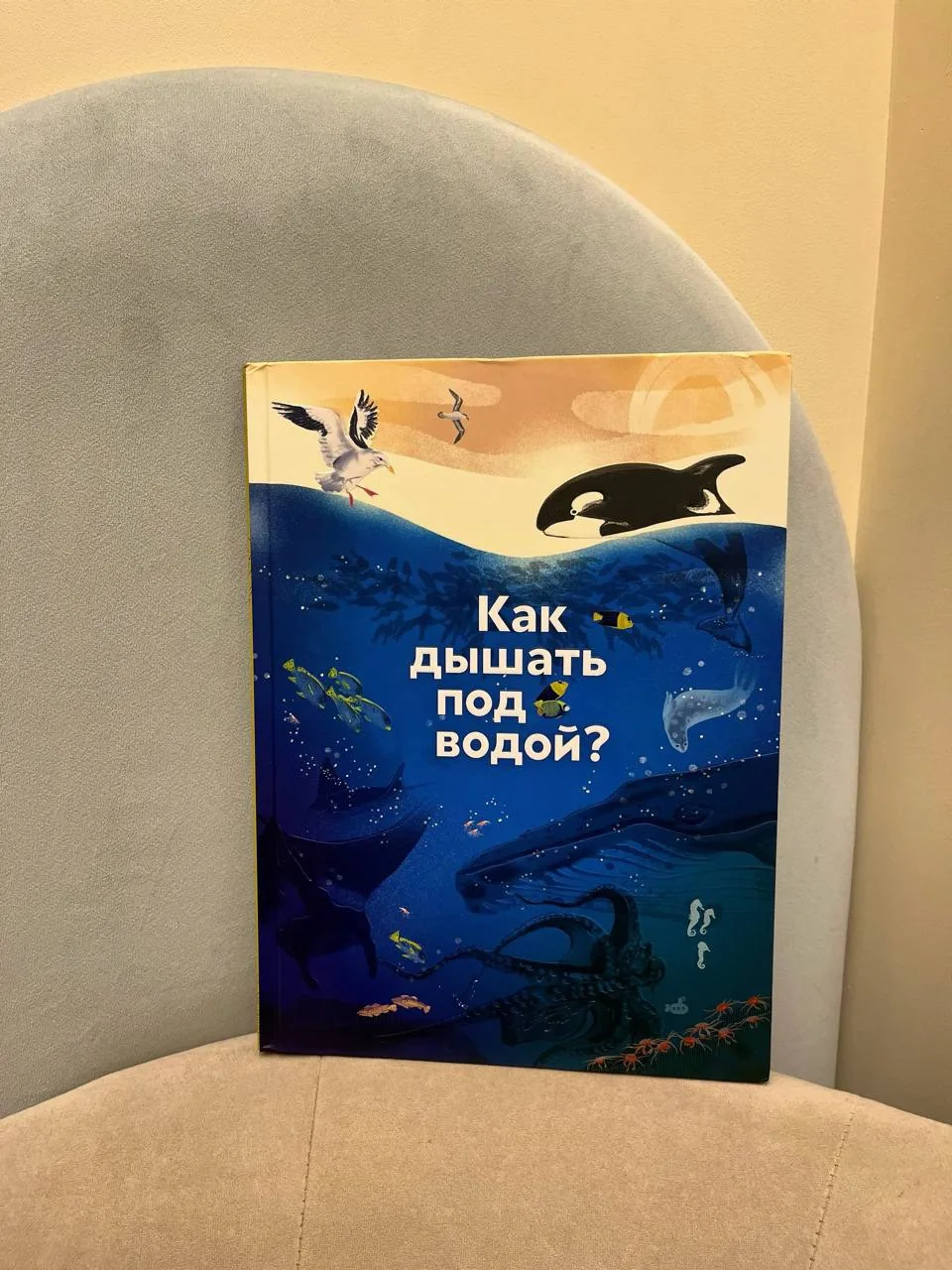 Если вас нет у нас на канале в телеграме — прикреплю сюда обзор на эту книгу. Там он выходил у меня 