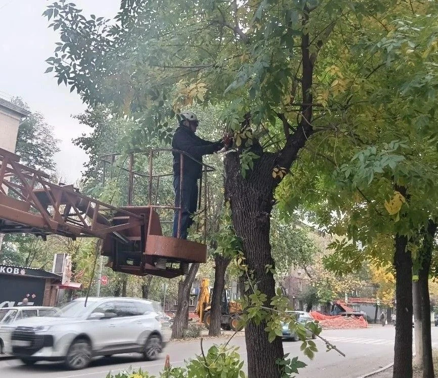 Коммунальными службами проведены работы на территории города