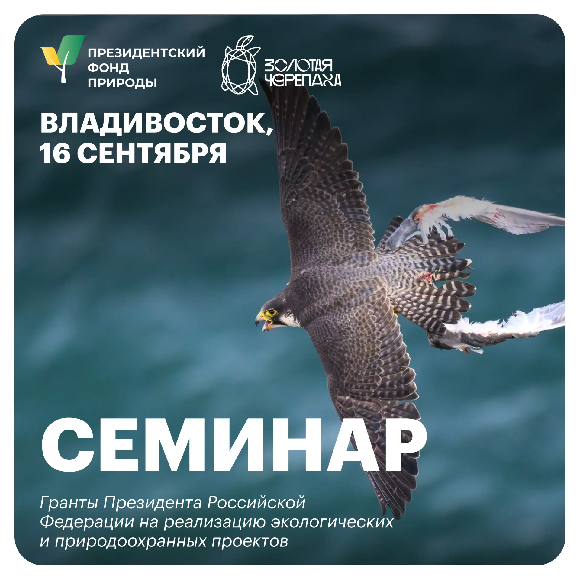 Семинар Президентского фонда природы во Владивостоке