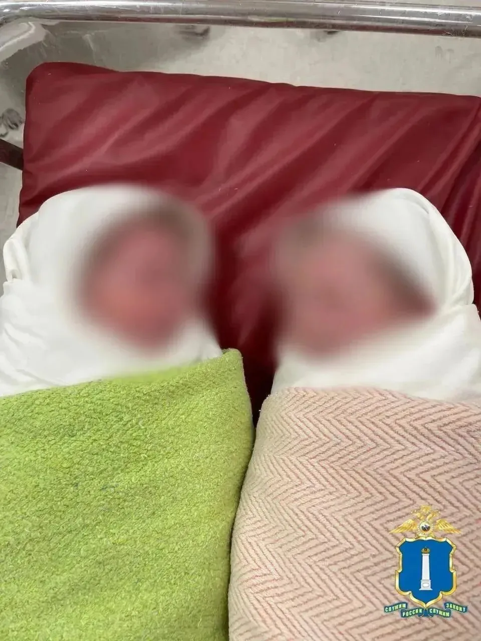 В Ульяновске женщина выдумала рождение двойни, чтобы получать деньги на их содержание о...