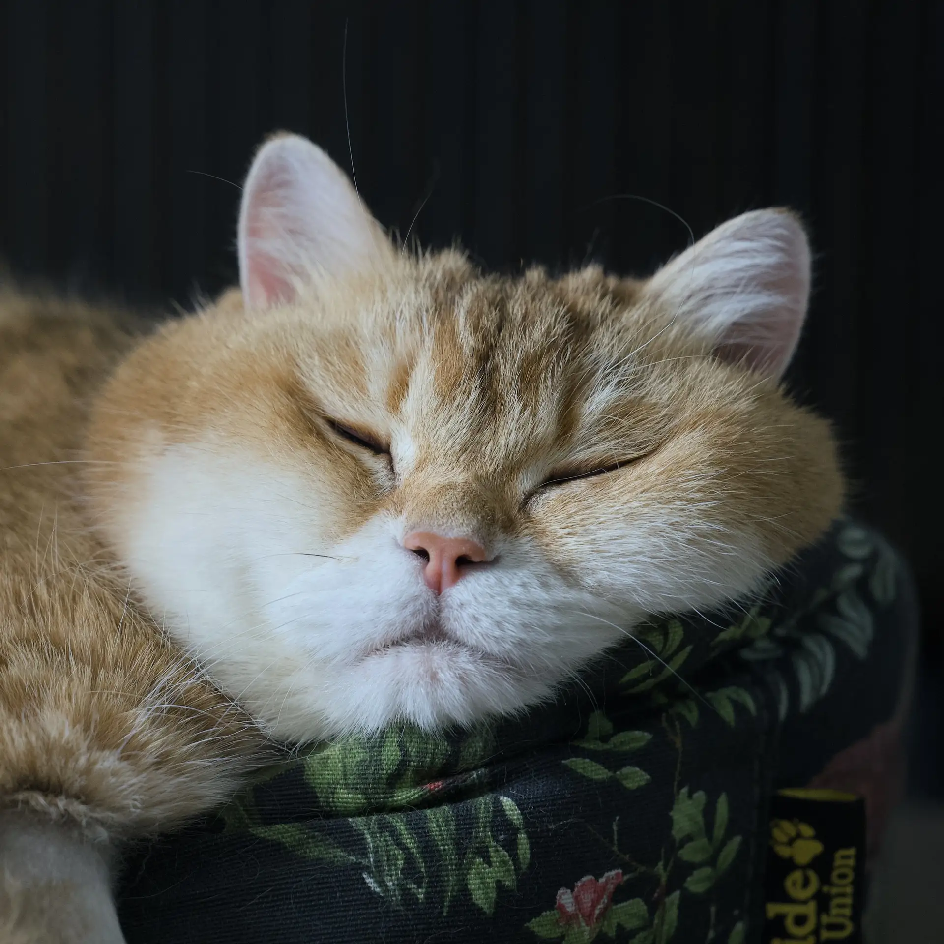Понедельник 😴