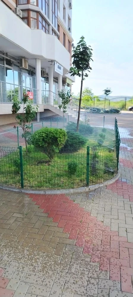Провели работы по поливу газонов и зелёных насаждений.