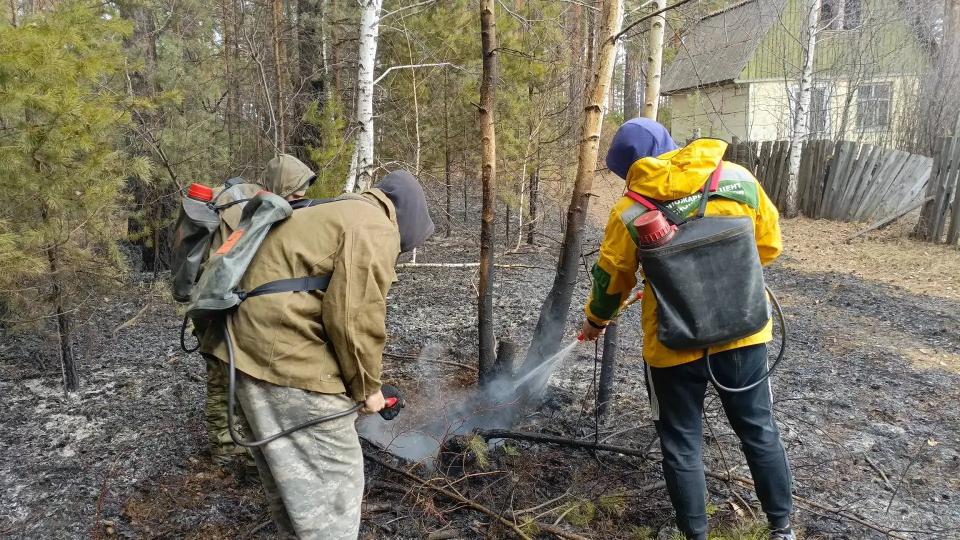 🔥‎Огонь охватил больше 1,5 га- с  лесным пожаром боролись в окрестностях Шушенского ‎ ‎Пламя шло пон