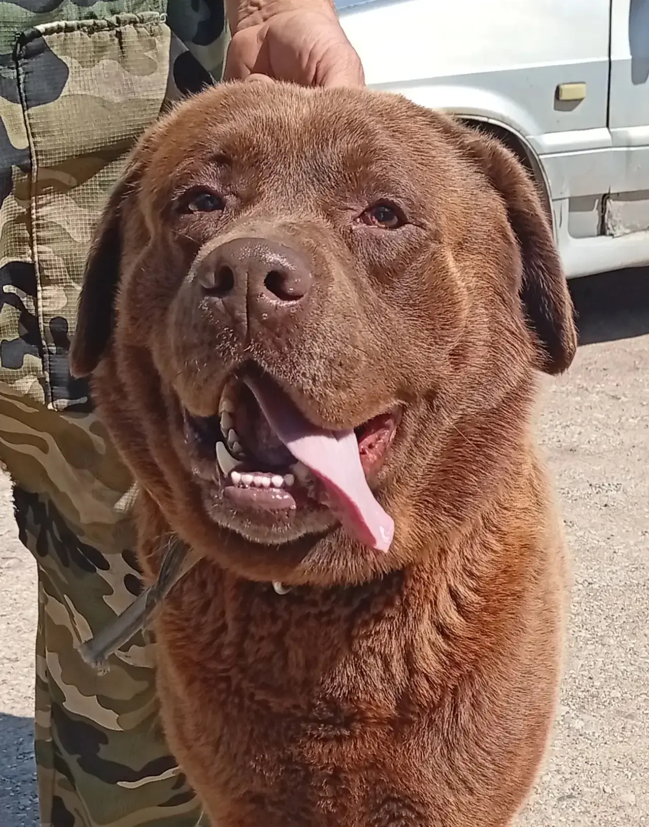 Приём животных в учреждении 🐶🐕‍🦺🩺