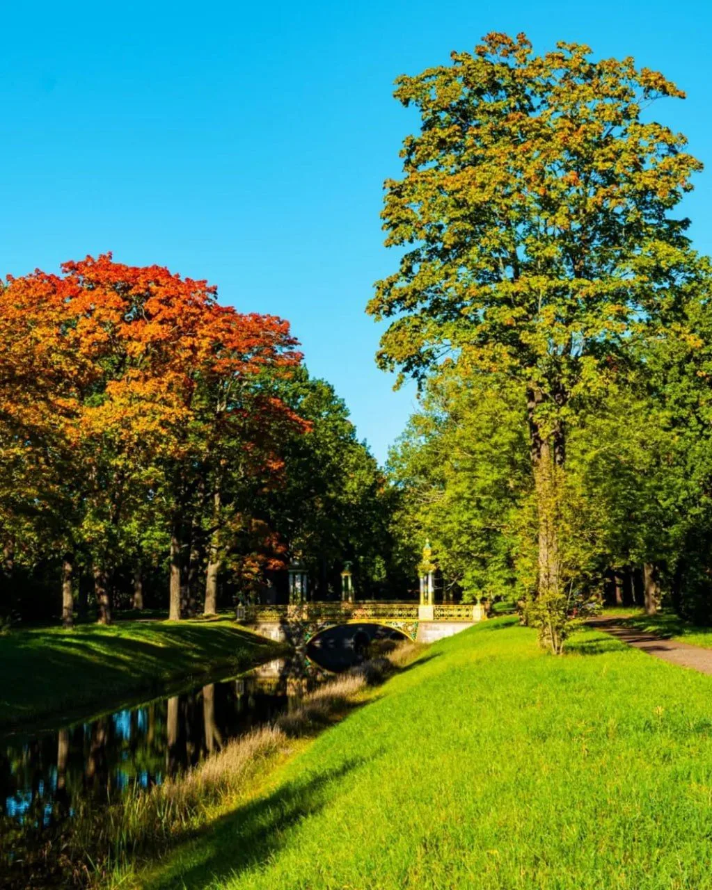 🌳 Александровский парк