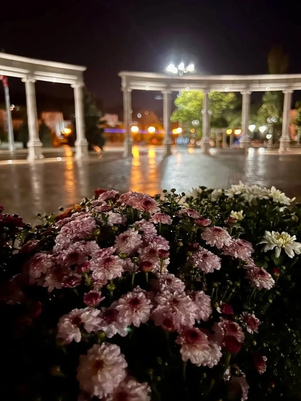 🌙 А всё-таки, наверное, хорошо знать, что там, где горит свет, кто-то может сидеть и д...