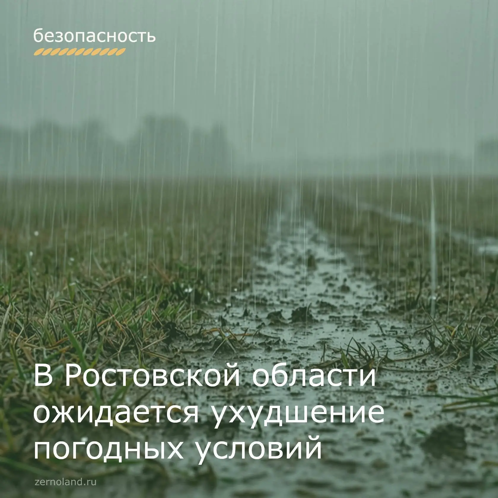 ❕ По данным метеорологических служб, местами в Ростовской области приблизительно с 18.0...