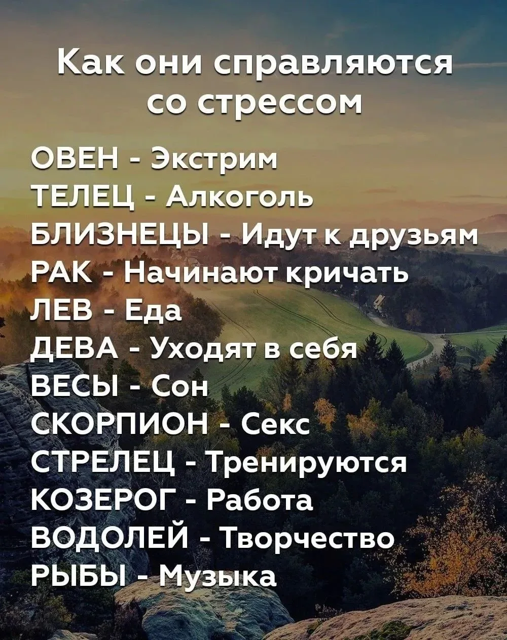 Лунный гороскоп 🌙