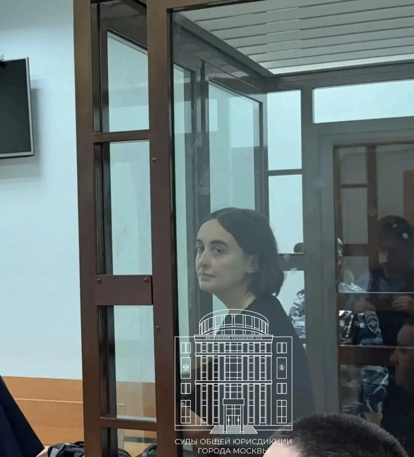 Суд избрал меру пресечения Лиде Мониаве