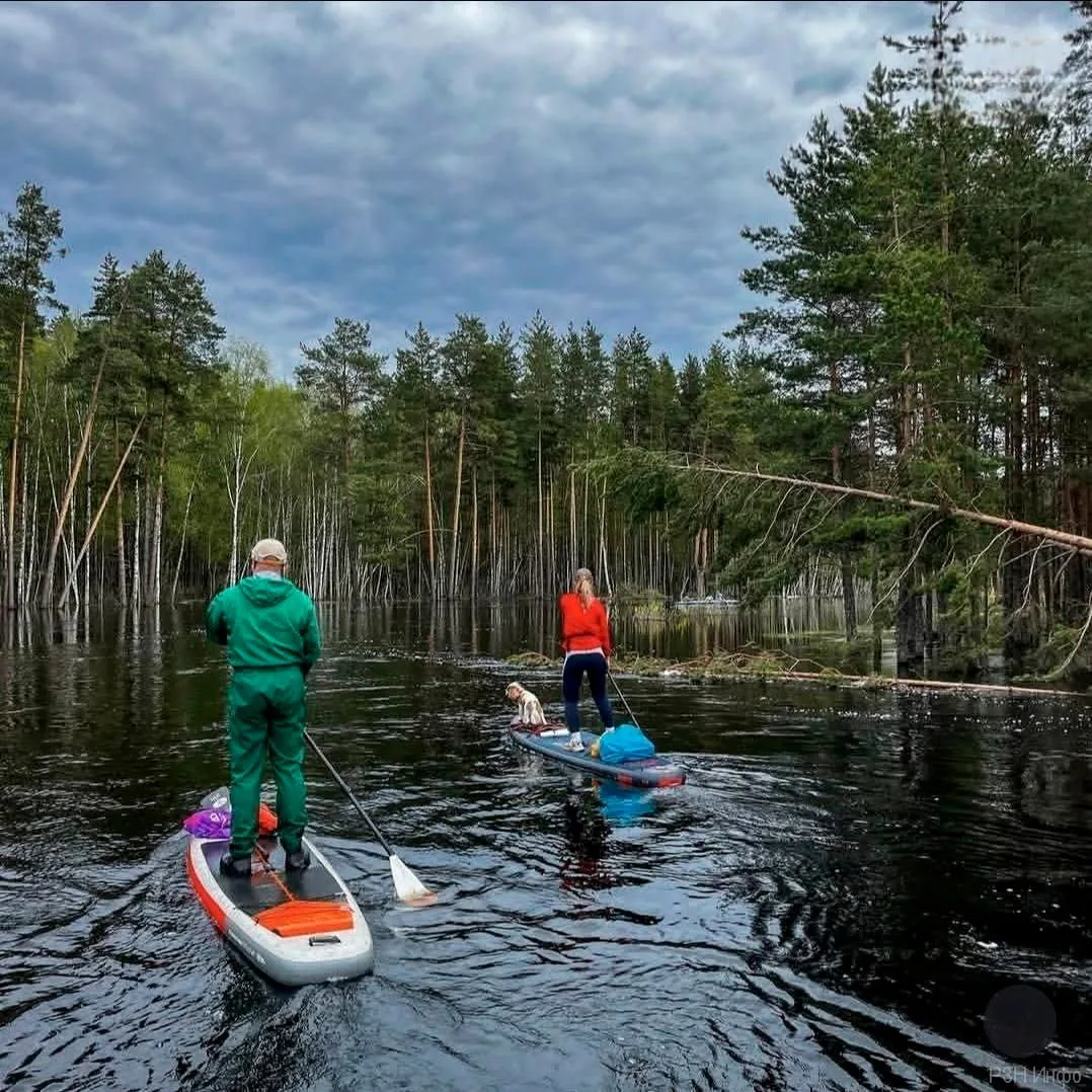 🛶 Рязанцы прошли 42 км на сапах по Пре за 8 часов  Сап-серферы из Рязани преодолели 42 километра по 