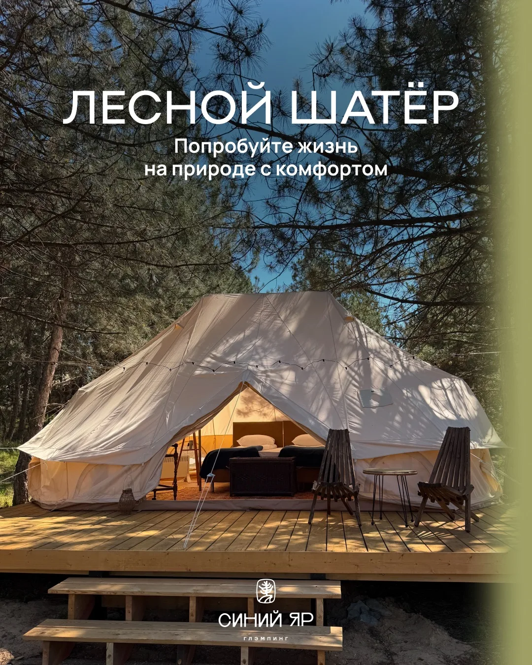 Знакомим вас ближе с нашими новыми Лесными шатрами 🏕️

Настоящее маленькое путешествие в Ростовскую