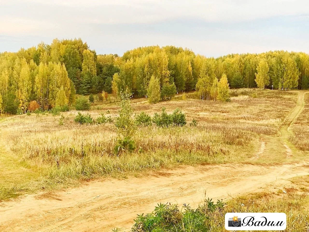 Доброе утро, Колтуши! 😎Хорошего дня! 🍁