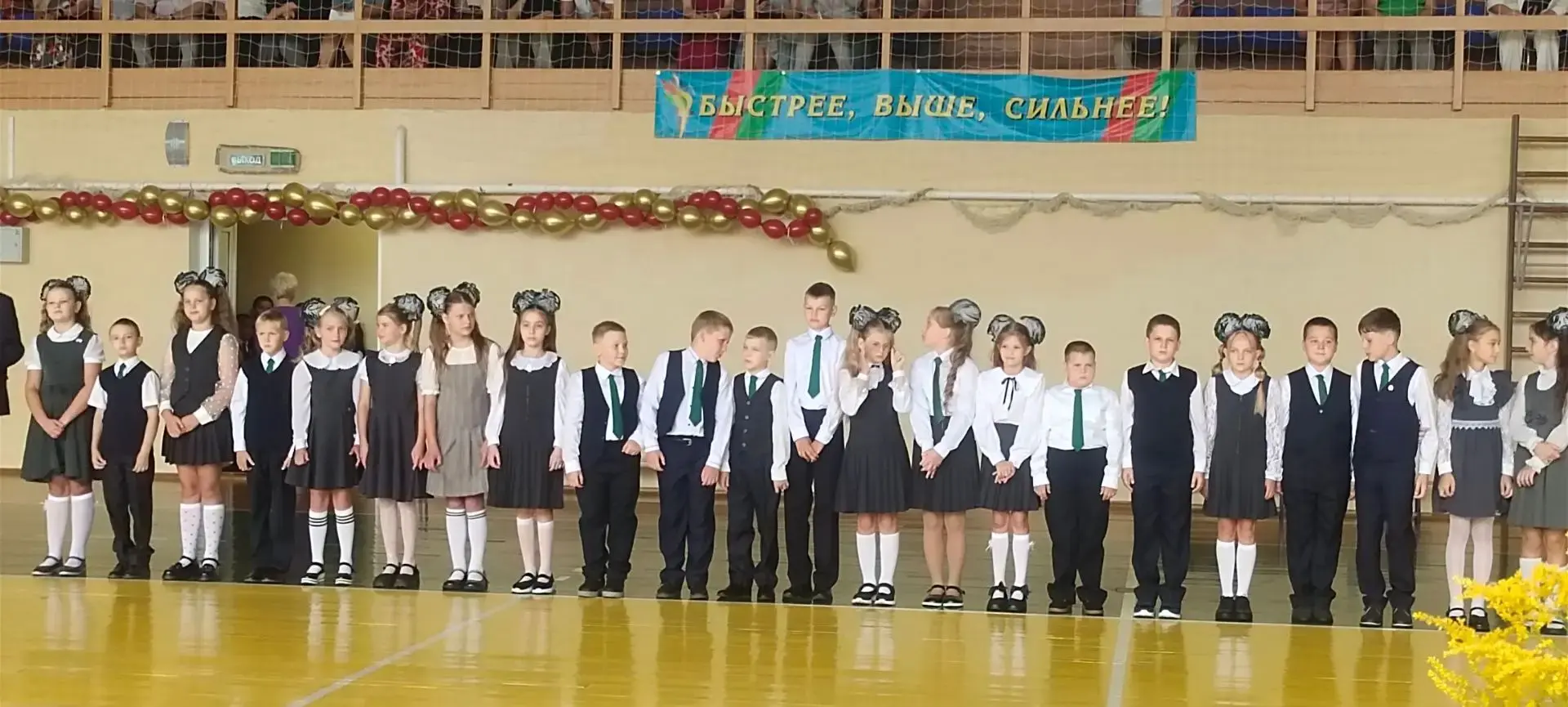 🎒 Сегодня начальник управления государственных закупок Брянской области Светлана Мацуе...