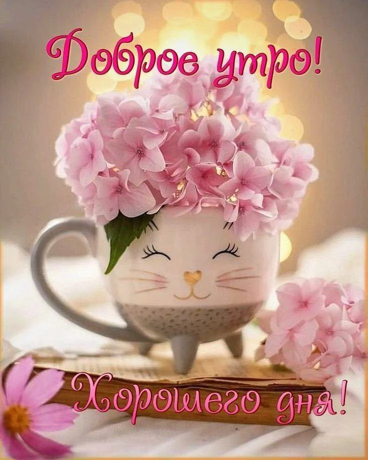 С добрым утром!