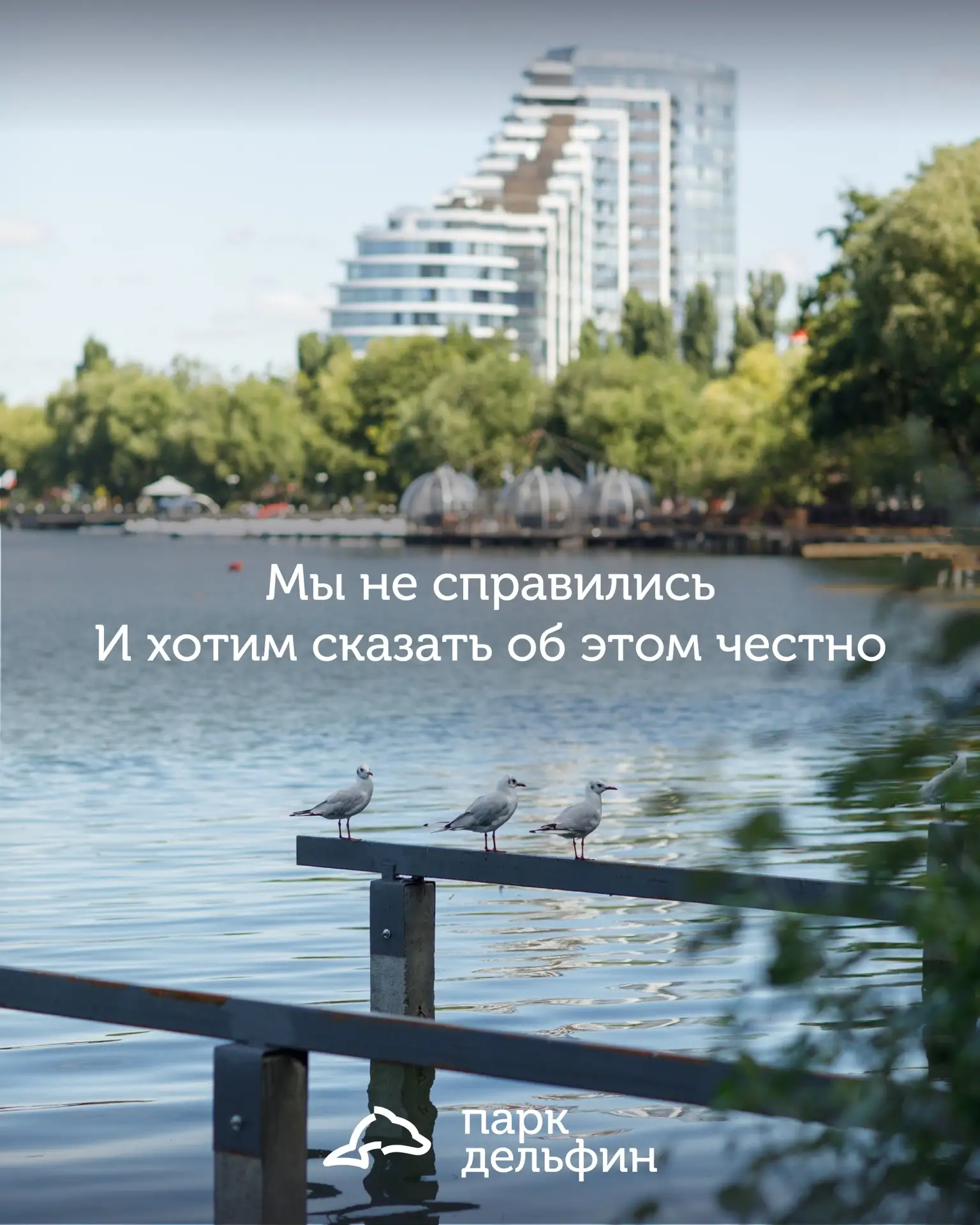 😔 В «Дельфине» признались, что не справились
