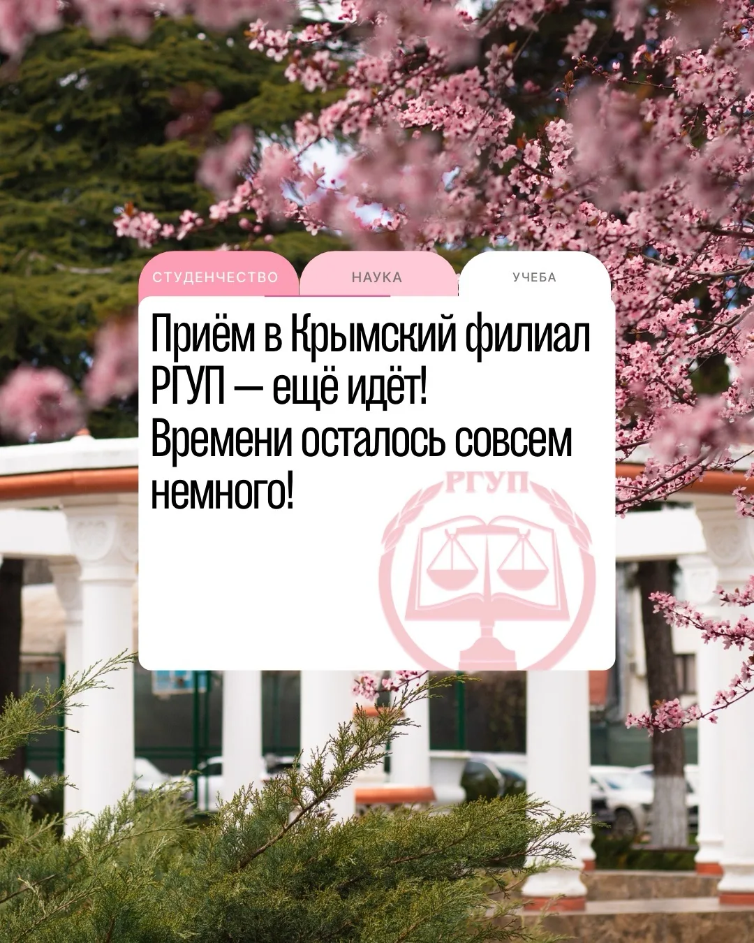 🔥 Приём в Крымский филиал РГУП — ещё идёт! Времени осталось совсем немного! 🔥