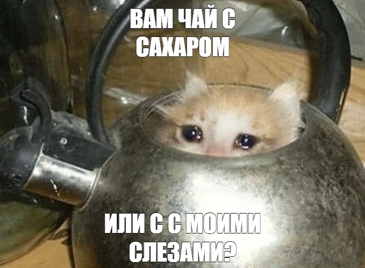 Владельцы Android, общий сбор 👇