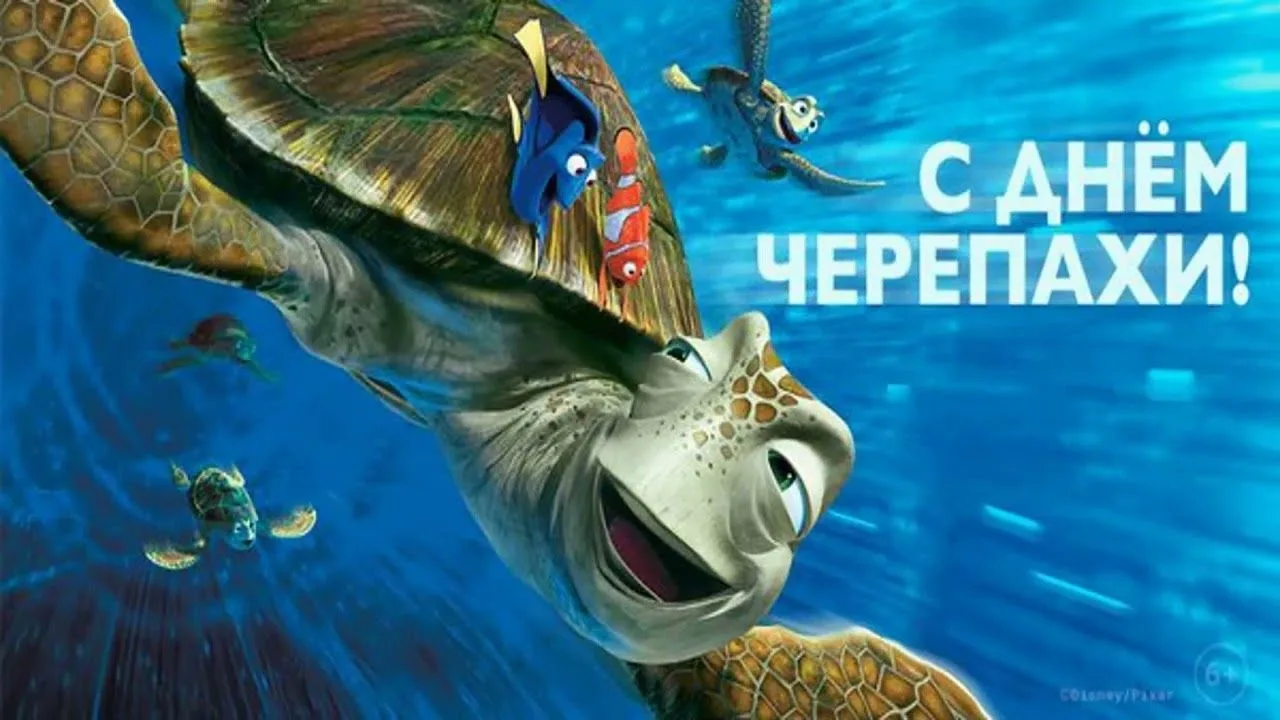 16 июня во многих странах отмечается Всемирный день морской черепахи — животного, символизирующего м