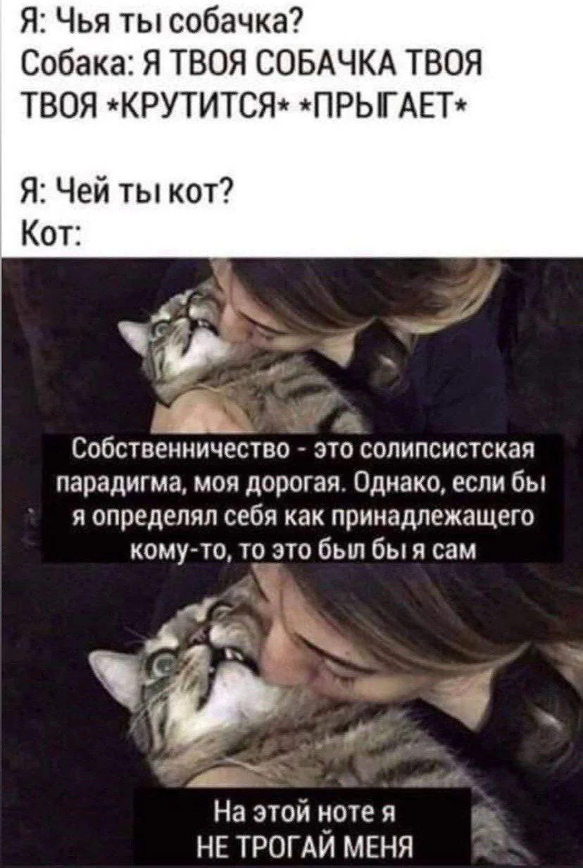 Понедельник. Выдыхаем и срочно несем в комментариях своих шерстяных любителей фк