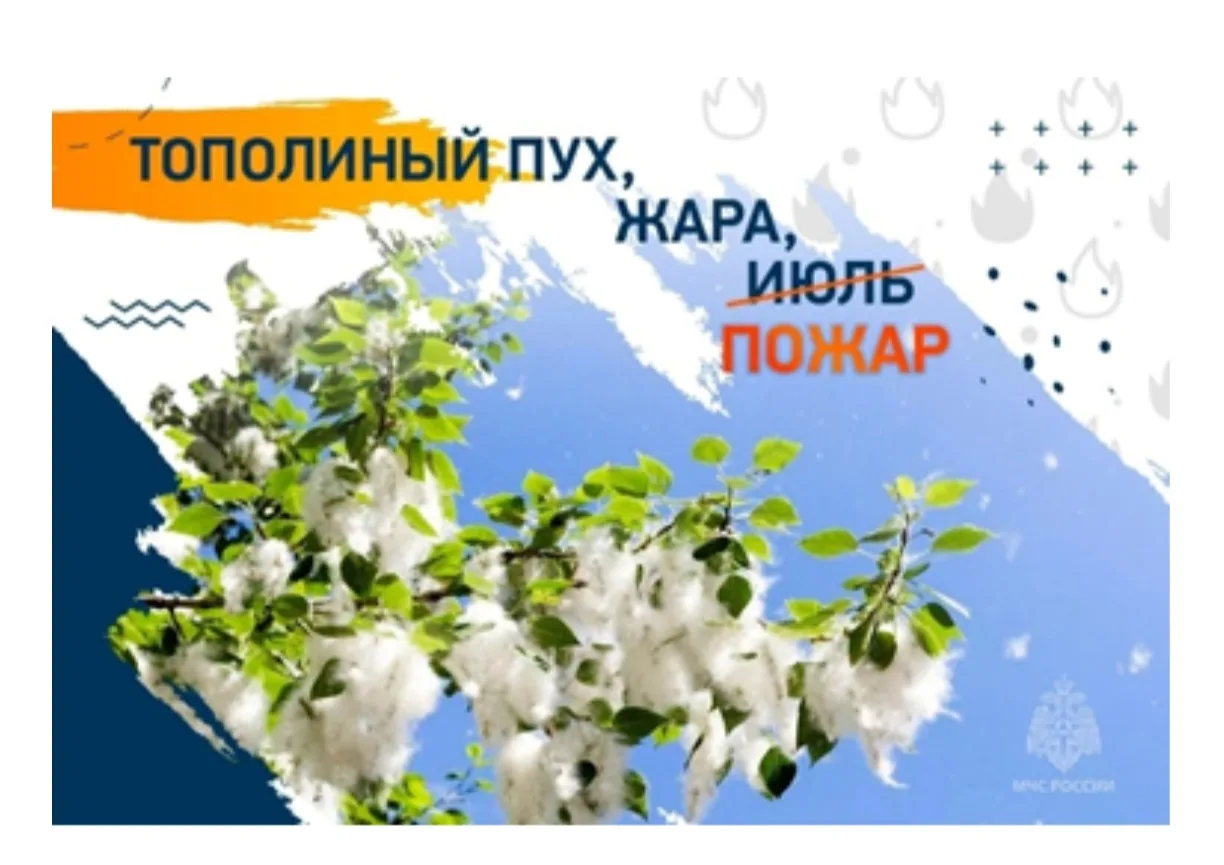 🔥 Сжигание тополиного пуха — плохая идея!

Одна искра в тополином пухе — и огонь может перекинуться